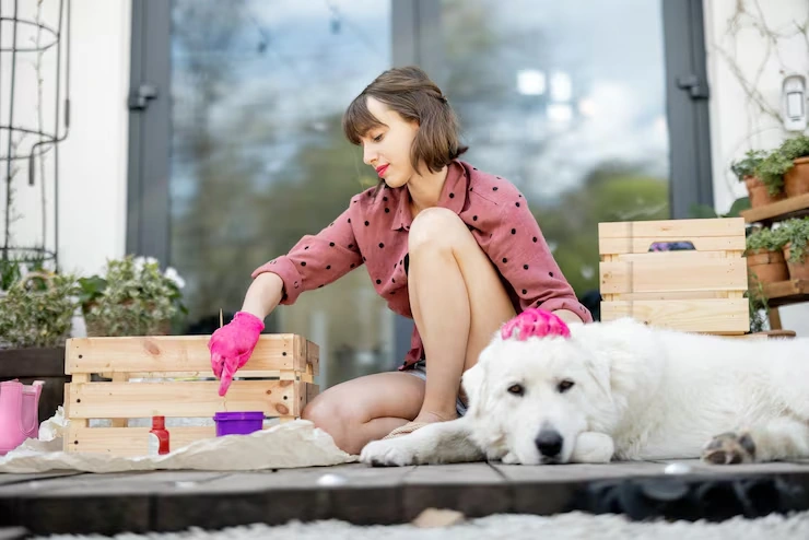 Airline Booking and Cargo Compliance