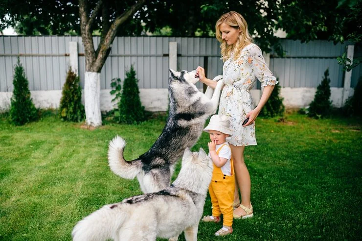 Airline Booking and Cargo Handling