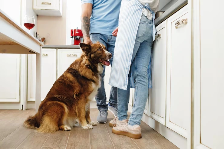 Breed and Size Consideration Planning