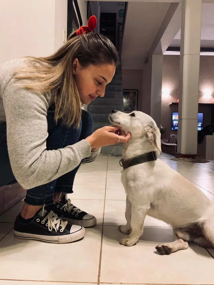 Canadian Export Documentation Management