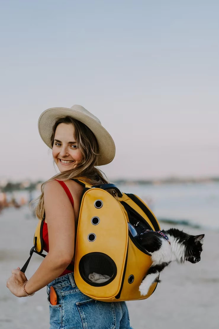 Cat Relocation Services From Canada to Portugal