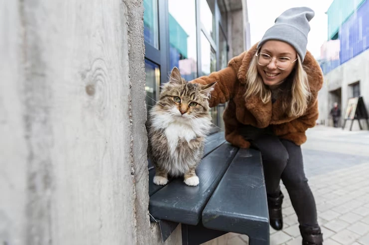 Cat Relocation Services From Canada to the Netherlands