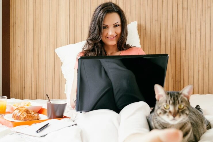 Cat Relocation Services From Canada to Spain