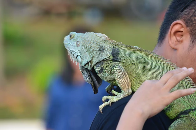 Commercial and Industrial Property Relocation