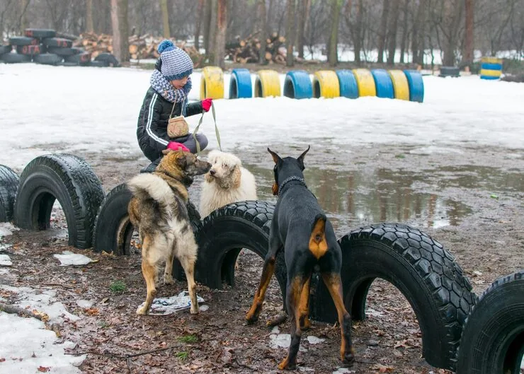 Crate Compliance and Transport Preparation