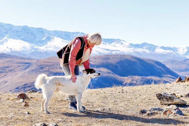 Crate Compliance and Travel Preparation​