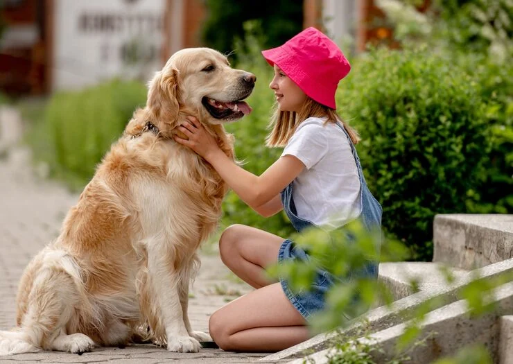 Crate Selection and Travel Preparation Support