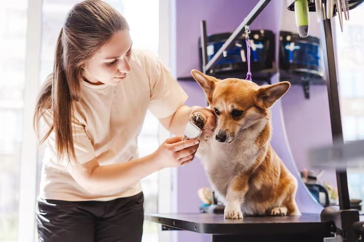 Day-of-Departure Oversight