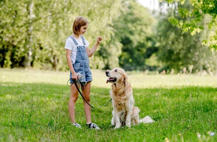 Diplomatic Pet Relocation Services