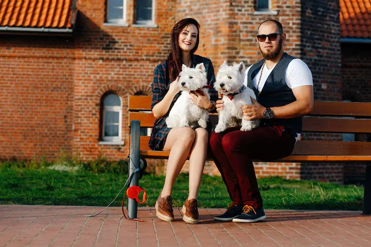 Dog Relocation Services From Canada to Belgium