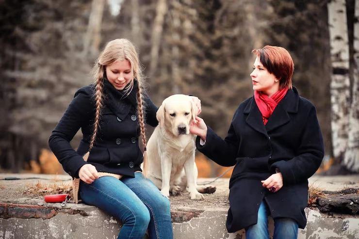Dog Relocation Services From Canada to Belgium