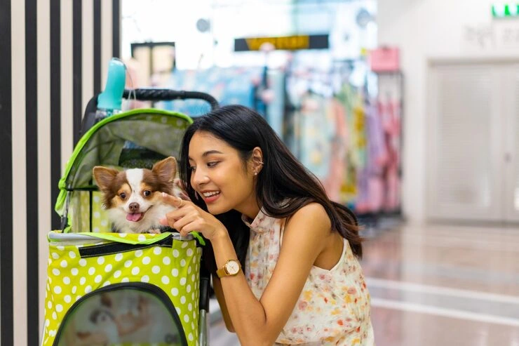 Dog Relocation Services From Canada to Denmark