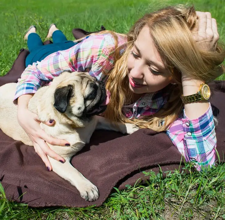 Dog Relocation Services From Canada to Finland