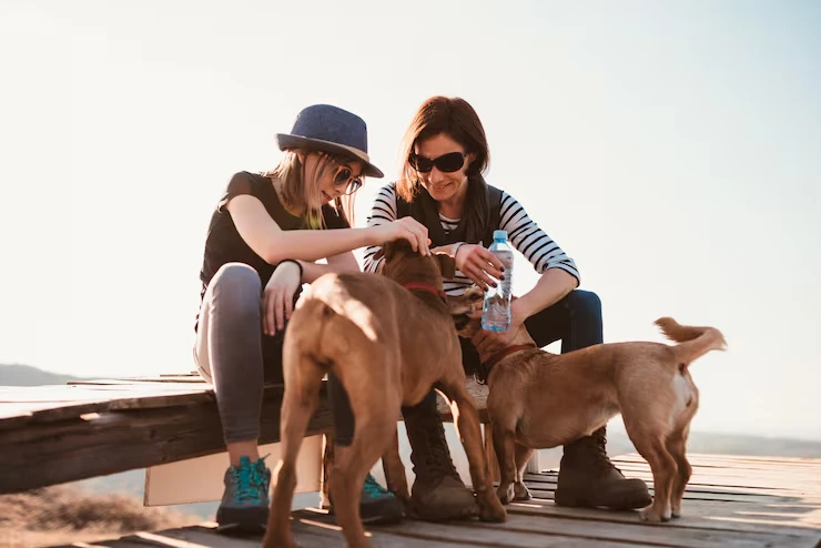 Dog Relocation Services From Canada to Greece