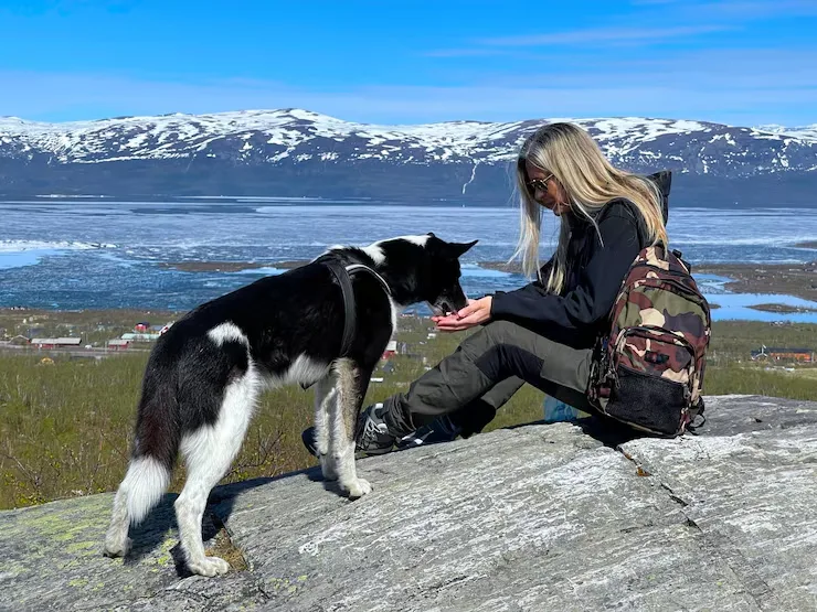 Dog Relocation Services From Canada to Ireland