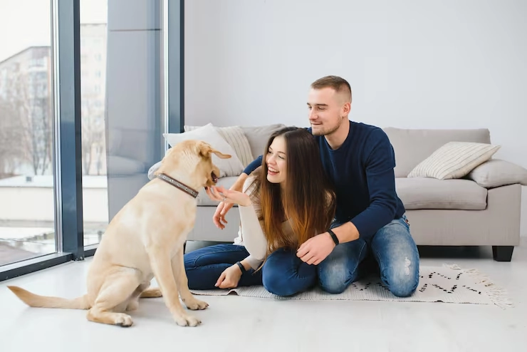 Dog Relocation Services From Canada to Serbia