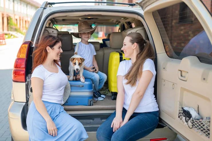 Dog Relocation Services From Canada to Spain