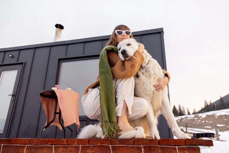 Dog Relocation Services From Canada to Sweden ​