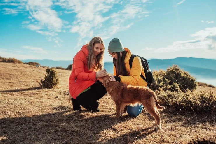 Dog Relocation Services From Canada to Switzerland