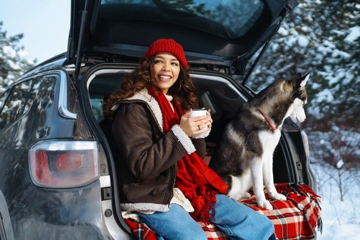 Dog Relocation Services From Canada to Switzerland