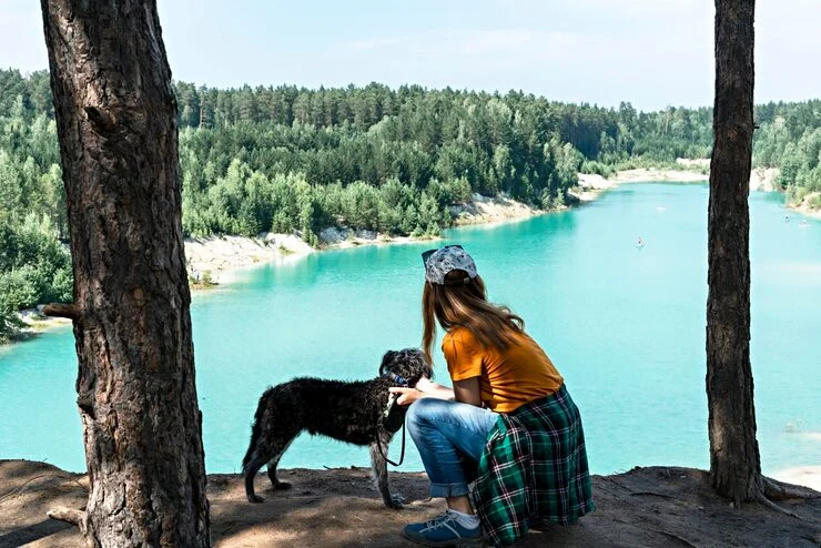 End-to-End Dog Relocation Planning From Canada to Austria