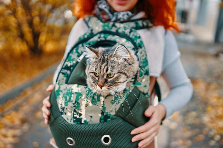 Executive Family Pet Relocation Services 