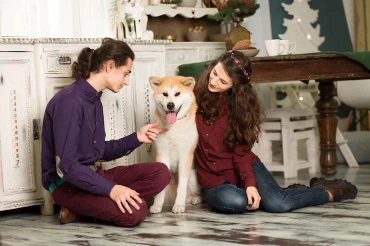 IATA-Compliant Crate Guidance