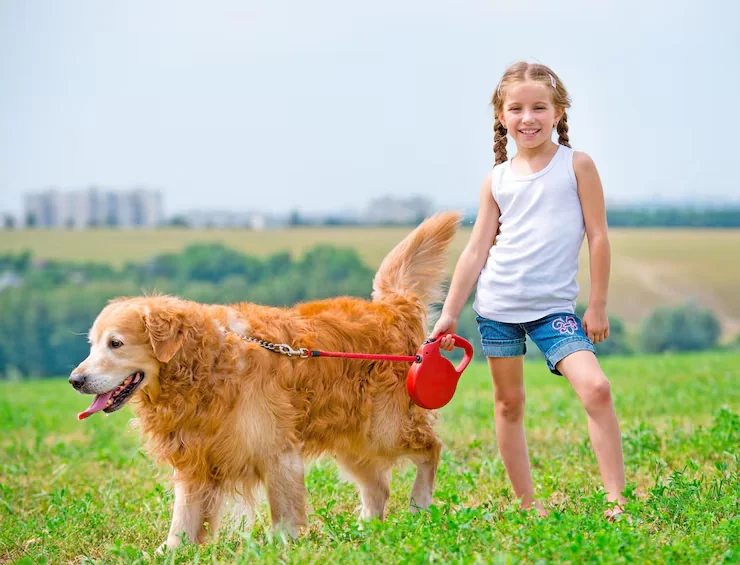 Import Compliance Planning for Iceland