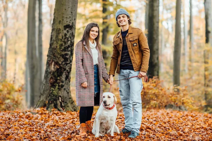 Owner Communication and Timeline Management