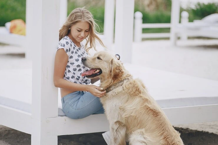 Owner Guidance and Timeline Management