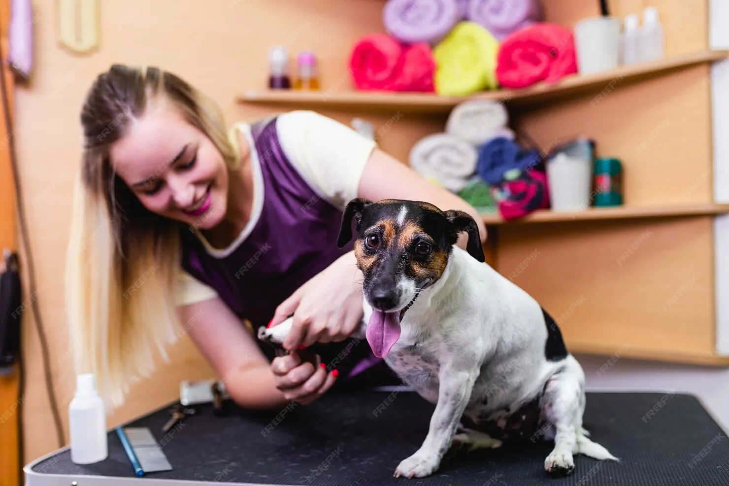 Private Aviation Pet Coordination in Canada