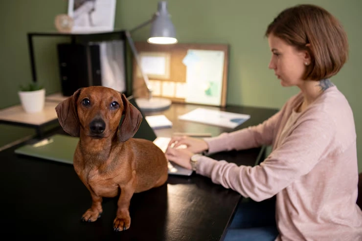 Quarantine Avoidance and Risk Mitigation Planning