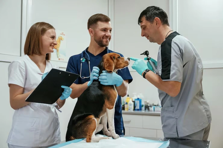 Multi-Pet and Family Relocation Coordination