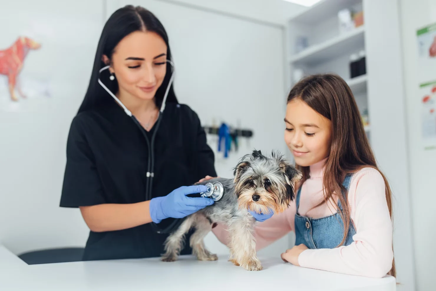 Veterinary Documentation and Health Compliance