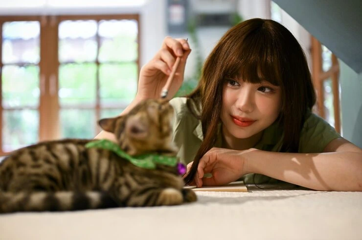 Why Choose Cat Relocation Services From Canada to Italy