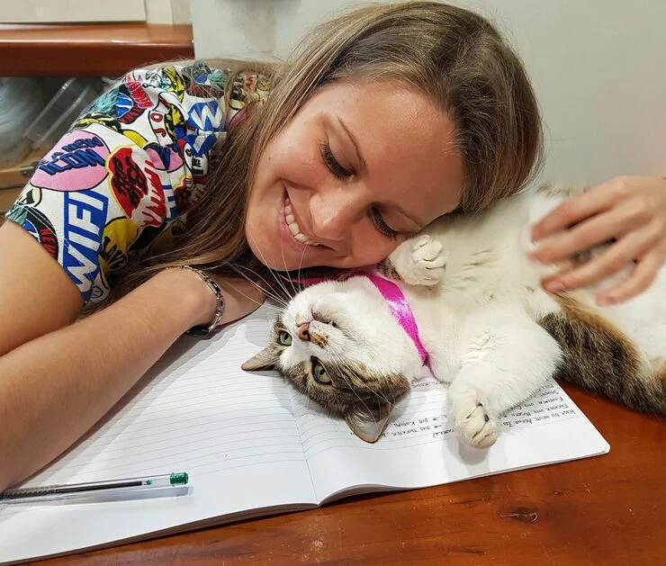 Why Choose Cat Relocation Services From Canada to Spain