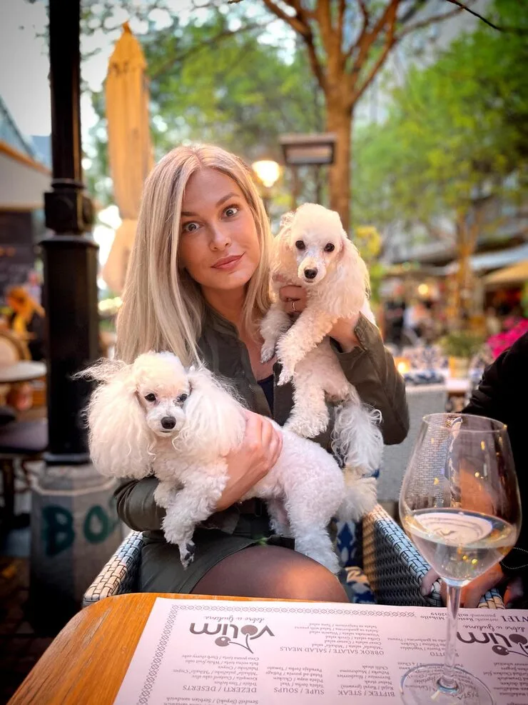 Why Choose Dog Relocation Services From Canada to Belgium