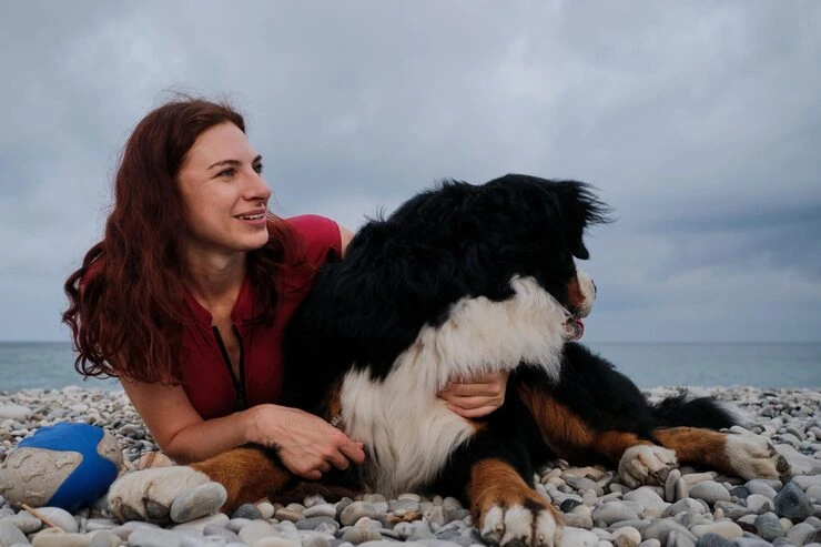 Why Choose Dog Relocation Services From Canada to Greece