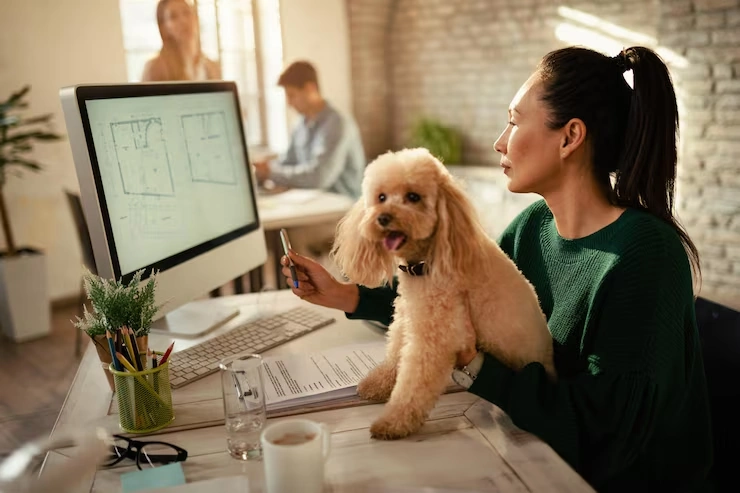 Why Many Canadian Owners Choose Pearl Lemon Pets