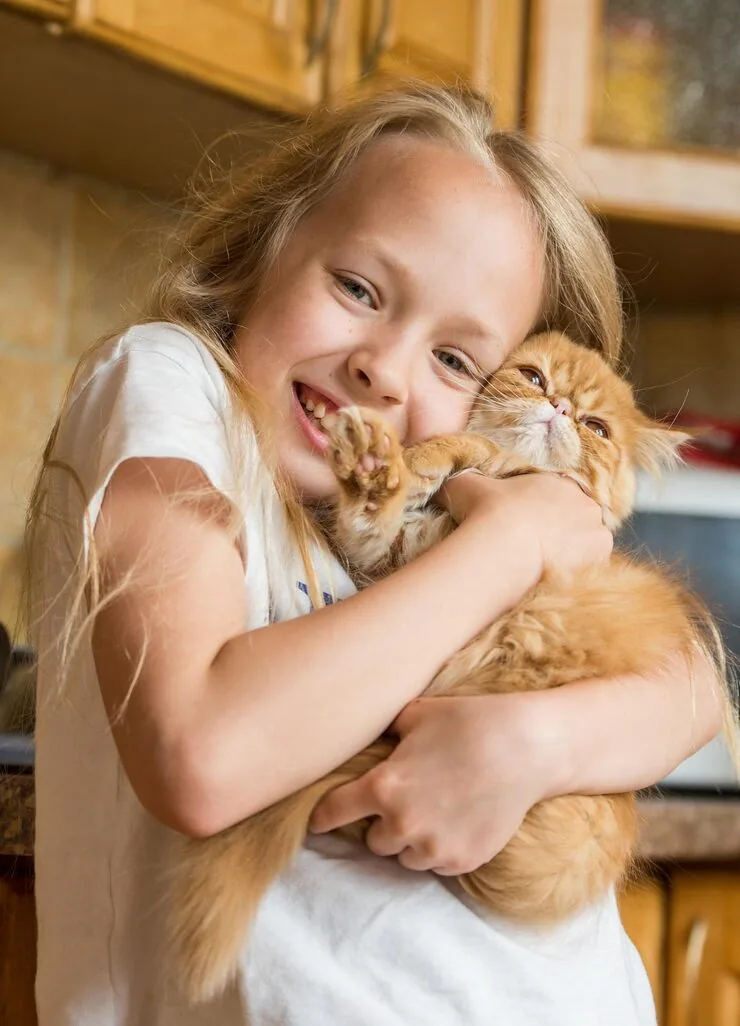 Airline Booking and Cargo Coordination​