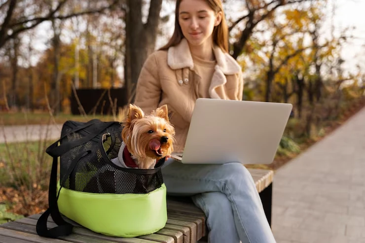 Airline Booking and Live Animal Cargo Coordination