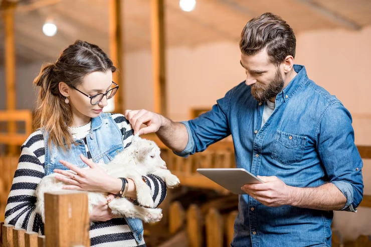 Airline Booking and Live Animal Cargo Management