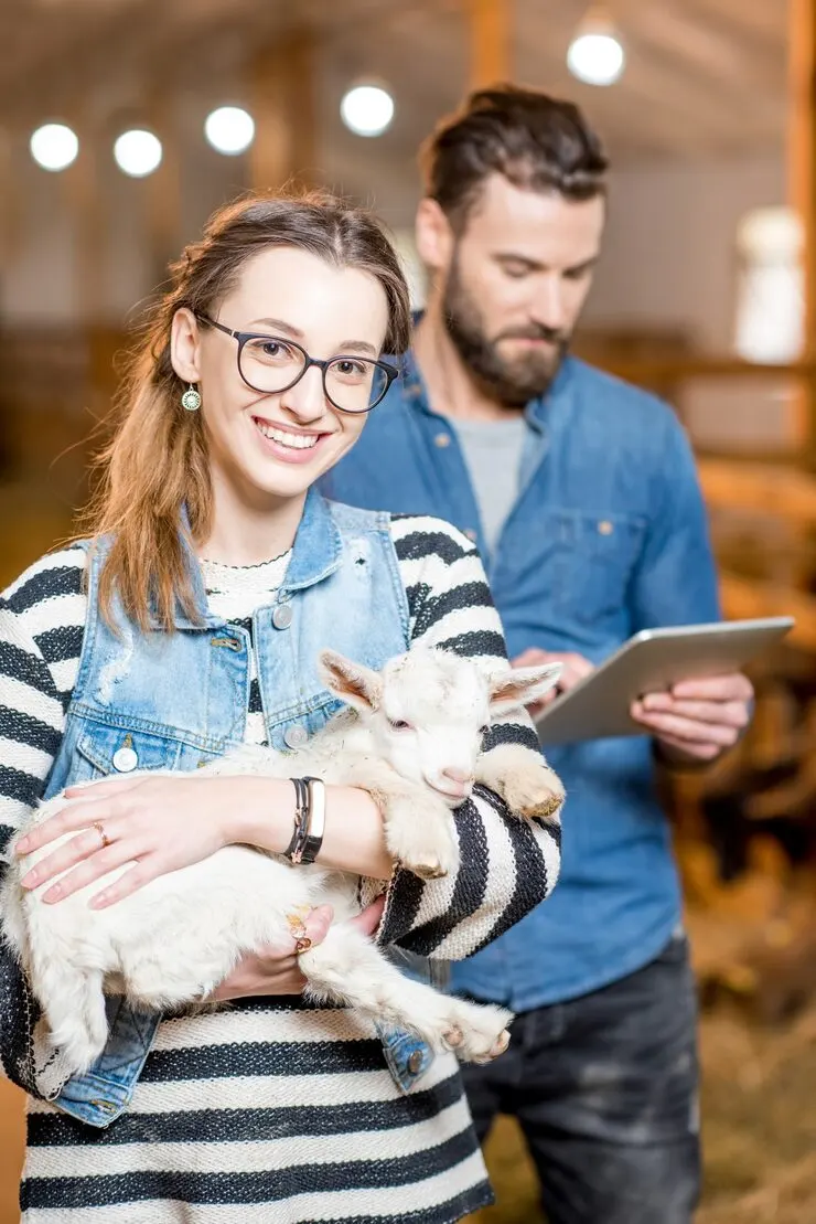 Airline Booking and Live Animal Transport Coordination