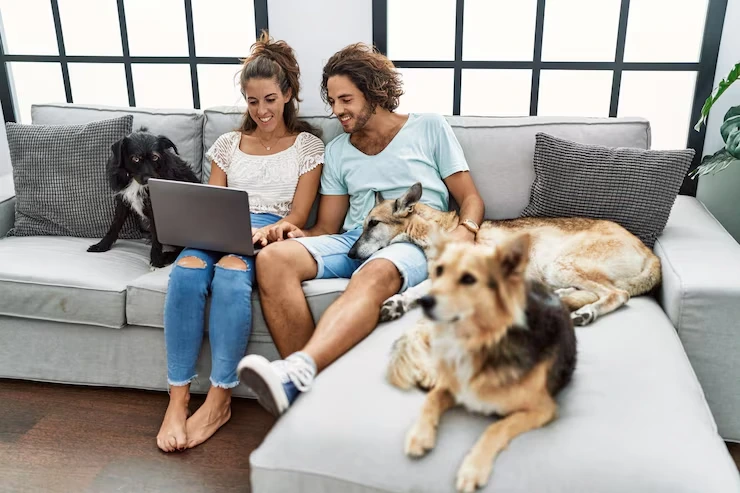 Airline Booking and Manifest Cargo Coordination