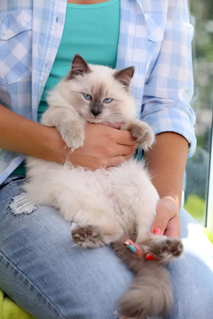 Airline Cargo Coordination & Flight Planning