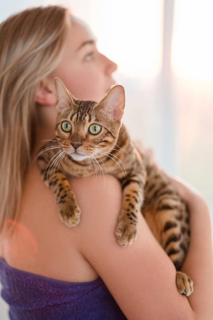 Airline Routing and Live Animal Booking Management​
