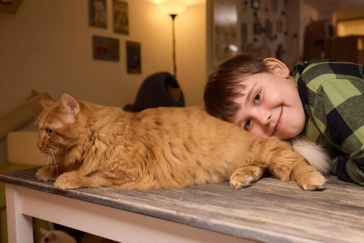 Airport Clearance and Ground Handling Coordination