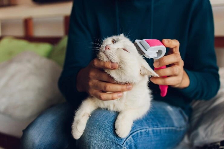 Airport Transfer and Ground Transportation