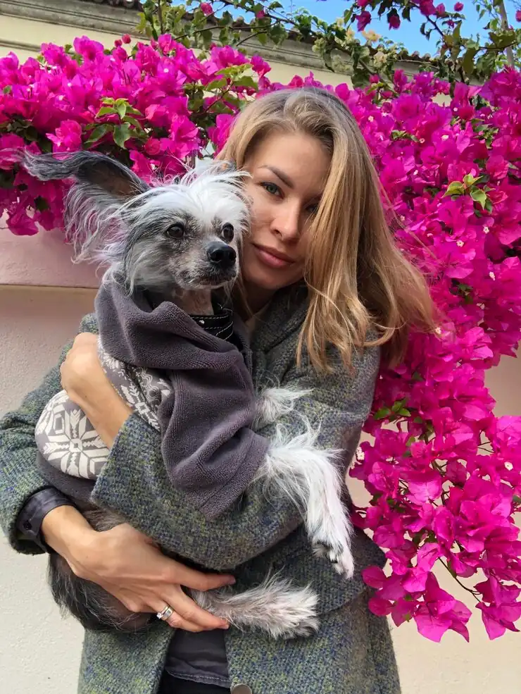 Breed Risk Assessment and Regulatory Screening​