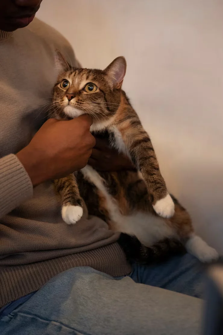 Breed-Specific and Special Case Management